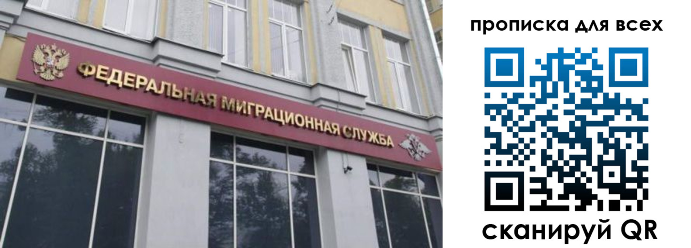 прописка в Алексине